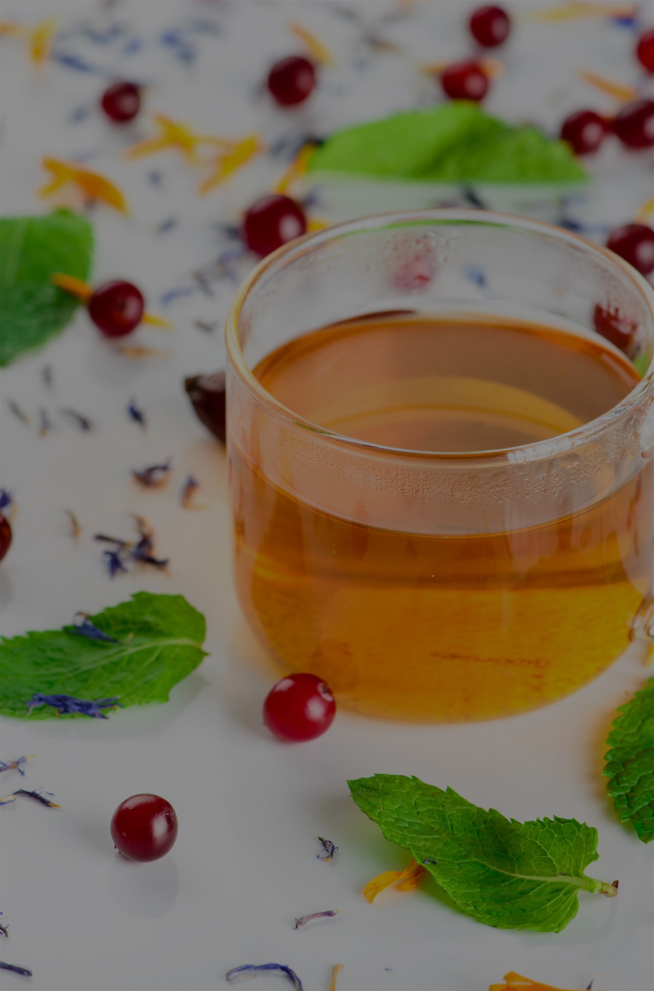 Шесть вкусных травяных чаев для любого настроения